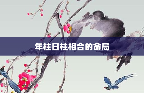 年柱日柱相合的命局